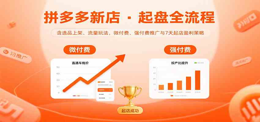 拼多多新店起盘全流程,含选品上架、流量玩法,微付费、强付费推广与7天起店盈利策略-云网创