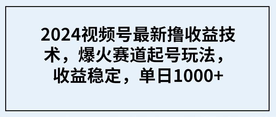 (9651期) 2024视频号最新撸收益技术,爆火赛道起号玩法,收益稳定,单日1000+-云网创