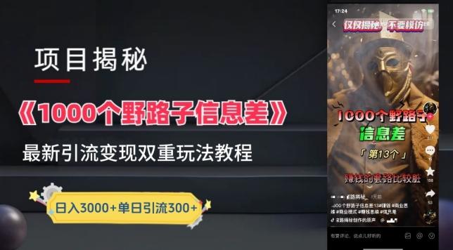 一千个野路子信息差最新玩法教程-变现+引流的玩法具体拆解【揭秘】-云网创