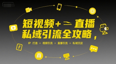 短视频+直播私域引流全攻略，IP打造 +视频引流 +直播引流 +私域沉淀-云网创