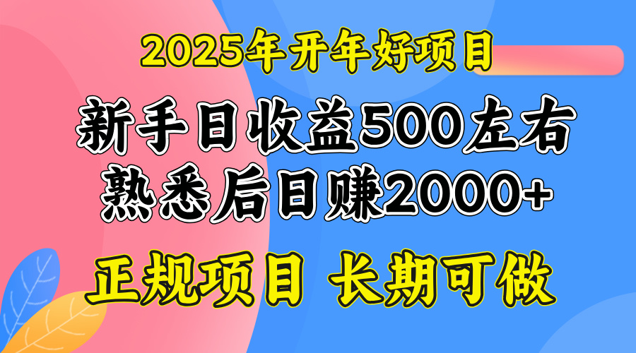 2025开年好项目，单号日收益2000左右-云网创
