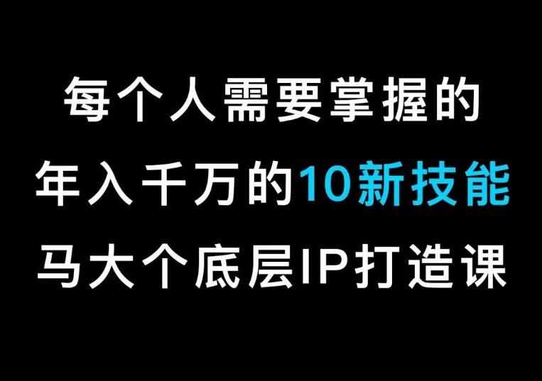 马大个的IP底层逻辑课,每个人需要掌握的年入千万的10新技能,约会底层IP打造方法!-云网创