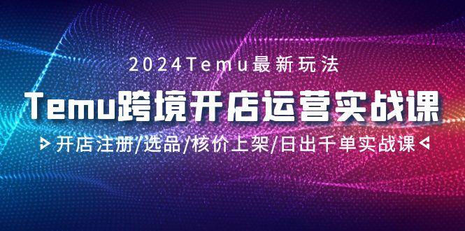 2024Temu跨境开店运营实战课，开店注册/选品/核价上架/日出千单实战课-云网创