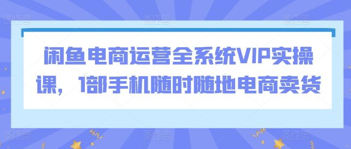 闲鱼电商运营全系统VIP实操课,1部手机随时随地电商卖货-云网创