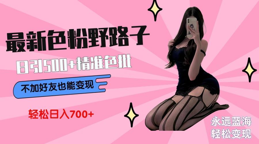 最新色粉变现野路子，日引500+老色批 可不加好友直接变现 小白轻松日入700+-云网创