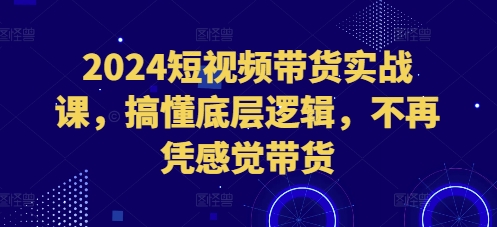 2024短视频带货实战课，搞懂底层逻辑，不再凭感觉带货-云网创