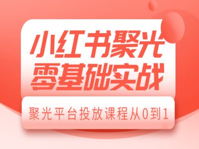 小红书聚光零基础实战，聚光平台投放课程从0到1-云网创