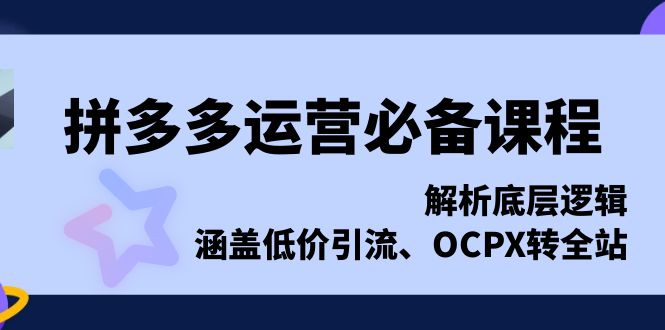拼多多运营必备课程，解析底层逻辑，涵盖低价引流、OCPX转全站-云网创