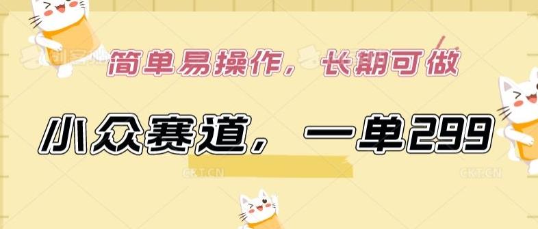 小众赛道,一单299.简单易操作,长期可做【揭秘】-云网创