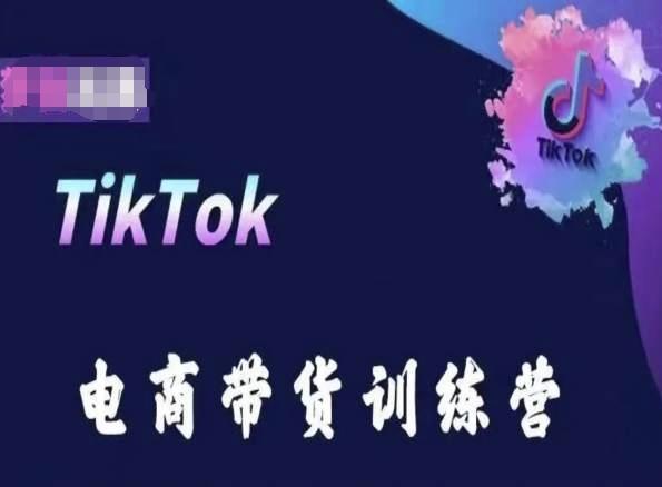 TikTok电商带货训练营，跟随时代潮流，跨境掘金-云网创