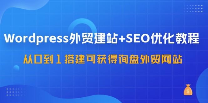 WordPress外贸建站+SEO优化教程，从0到1搭建可获得询盘外贸网站(57节课)-云网创