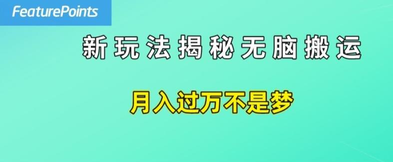 简单操作，每天50美元收入，搬运就是赚钱的秘诀【揭秘】-云网创