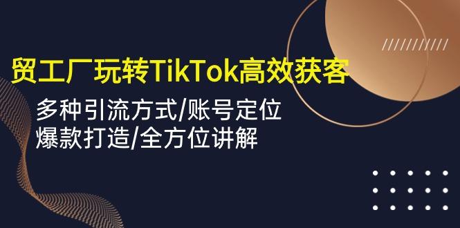 外贸工厂玩转TikTok高效获客，多种引流方式/账号定位/爆款打造/全方位讲解-云网创