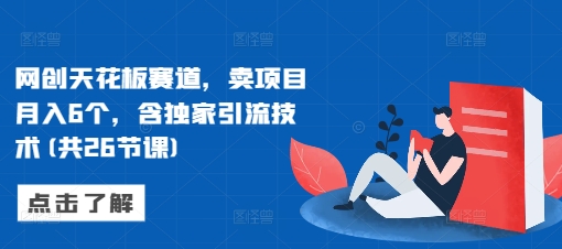 网创天花板赛道,卖项目月入6个,含独家引流技术(共26节课)-云网创
