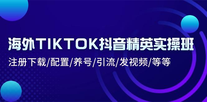 海外TIKTOK抖音精英实操班：注册下载/配置/养号/引流/发视频/等等-云网创