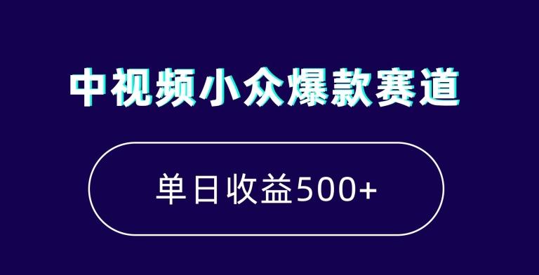 中视频小众爆款赛道，7天涨粉5万+，小白也能无脑操作，轻松月入上万【揭秘】-云网创