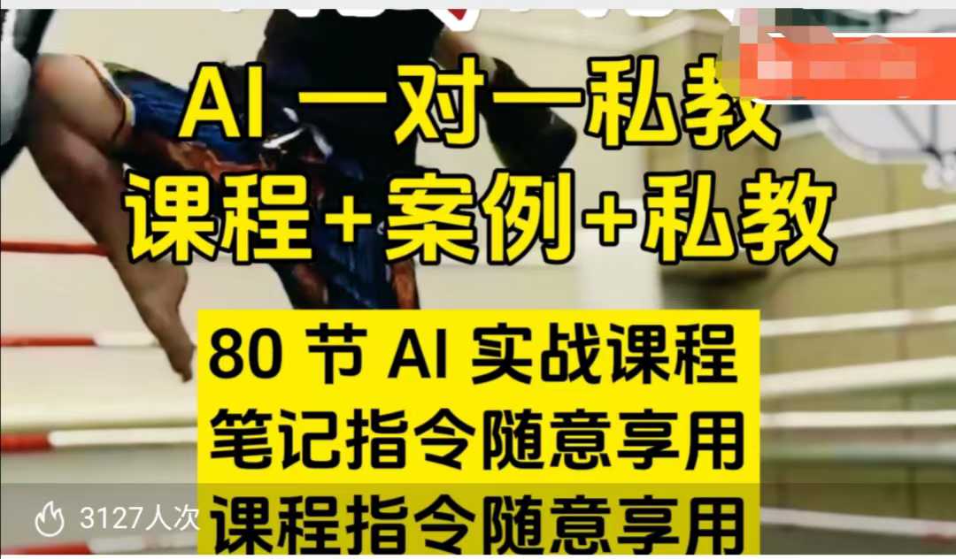 AI指令实战课，课程+案例，80节AI实战课程，笔记指令随意享用，课程指令随意享用（更新7月）-云网创