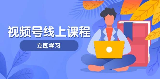 视频号实战课程，轻IP打造与运营技巧，掌握核心方法与策略-云网创