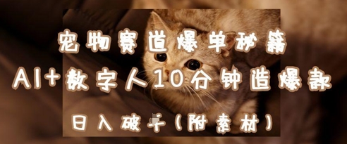 宠物赛道爆单秘籍：AI+数字人10分钟造爆款，日入1k-云网创