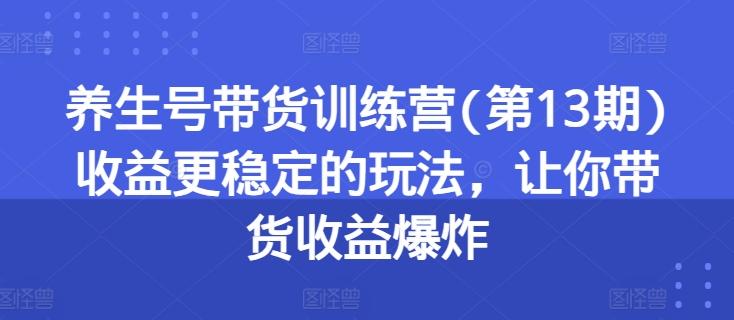 养生号带货训练营(第13期)收益更稳定的玩法，让你带货收益爆炸-云网创