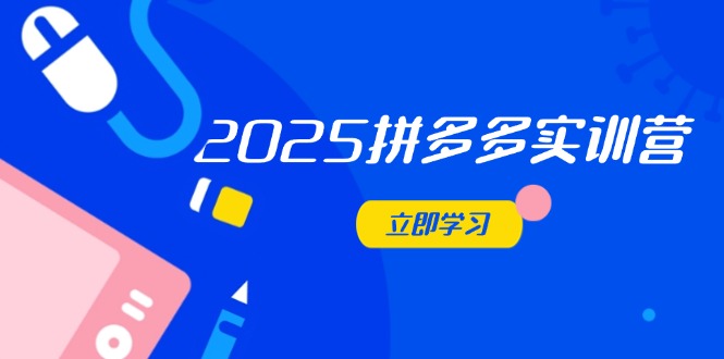 2025拼多多实训营:深度剖析运营关键,助力电商人快速提升-云网创