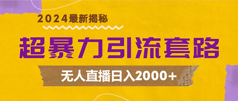 超暴力引流套路，无人直播日入2000+-云网创