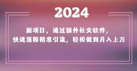 2024新项目，通过国外社交软件，快速涨粉精准引流，轻松做到月入上万【揭秘】-云网创