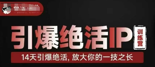 引爆绝活IP训练营，14天引爆绝活，放大你的一技之长-云网创