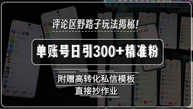 （15466期）评论区野路子玩法揭秘！单账号日引300+精准粉，附赠高转化私信模板，直…-云网创