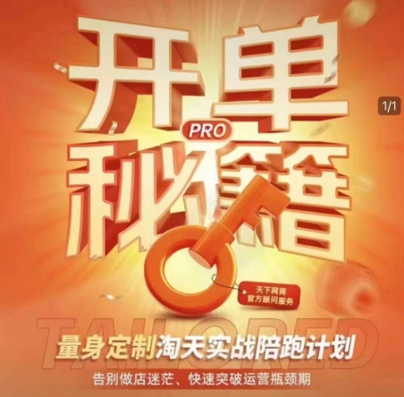 淘宝开单秘籍PRO，量身定制淘天实战陪跑计划，告别做店迷茫、快速突破运营瓶颈期-云网创