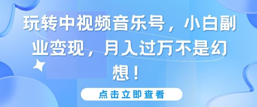 玩转中视频音乐号，小白副业变现，月入过万不是幻想【揭秘】-云网创