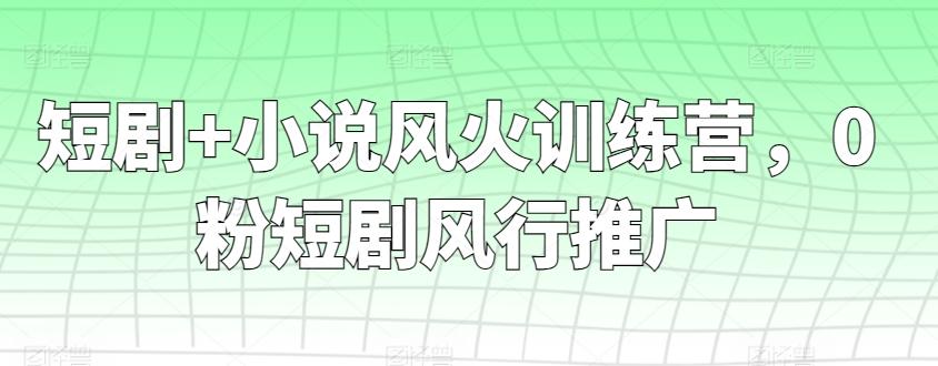 短剧+小说风火训练营,0粉短剧风行推广-云网创