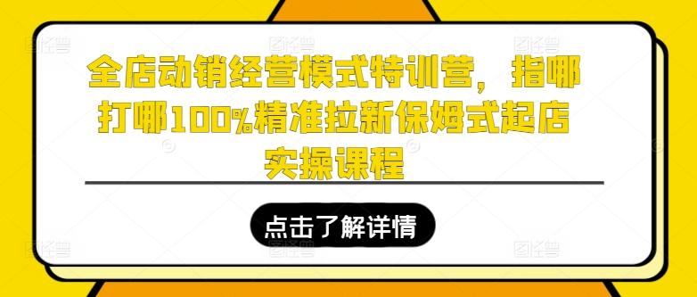全店动销经营模式特训营，指哪打哪100%精准拉新保姆式起店实操课程-云网创