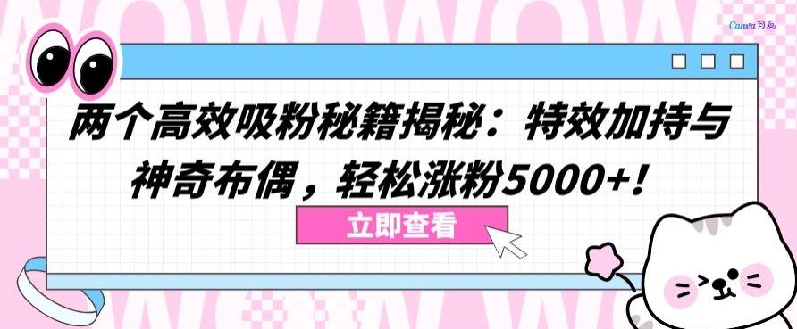 两个高效吸粉秘籍揭秘：特效加持与神奇布偶，轻松涨粉5000+【揭秘】-云网创