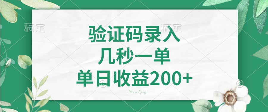 验证码录入,几秒一单,单日收益200+-云网创