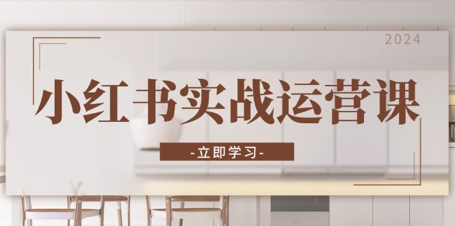 小红书实战运营课：从开通店铺到直播话术，打造爆款笔记与高效直播-云网创