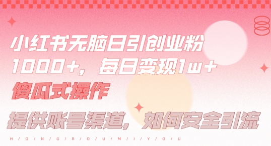 小红书无脑每日引流创业粉500+，小白每天只花半小时，躺赚长尾收益【揭秘】-云网创
