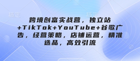 跨境创富实战营，独立站+TikTok+YouTube+谷歌广告，经营策略，店铺运营，精准选品，高效引流-云网创