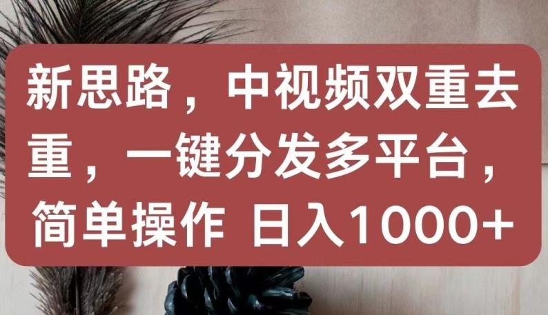 新思路，中视频双重去重，一键分发多平台，简单操作，日入1000+【揭秘】-云网创