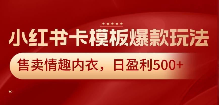 小红书卡模板爆款玩法,售卖情趣内衣,日盈利500+【揭秘】-云网创