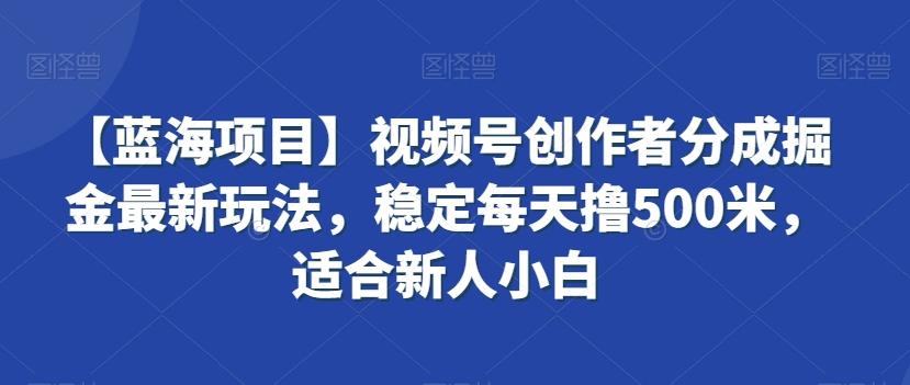 【蓝海项目】视频号创作者分成掘金最新玩法，稳定每天撸500米，适合新人小白【揭秘】-云网创