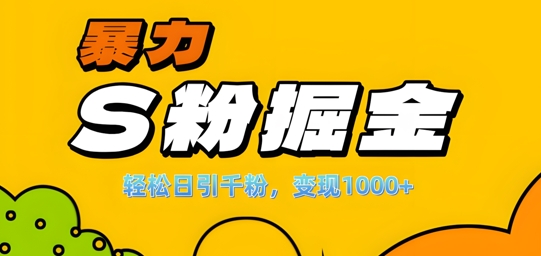 单人单机日引千粉,变现1k+,S粉流量掘金计划攻略【揭秘】-云网创