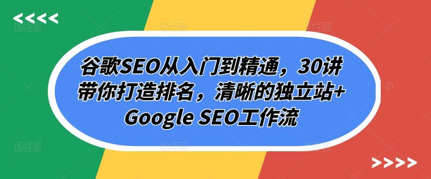谷歌SEO从入门到精通，30讲带你打造排名，清晰的独立站+Google SEO工作流-云网创