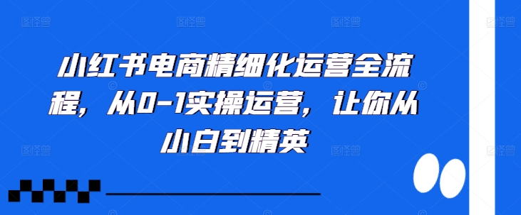 小红书电商精细化运营全流程，从0-1实操运营，让你从小白到精英-云网创