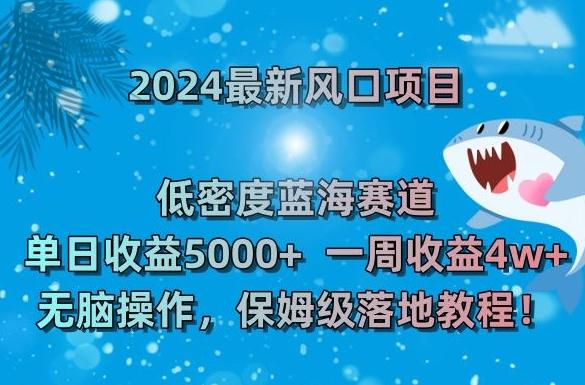 2024最新风口项目，低密度蓝海赛道，单日收益5000+，一周收益4w+！【揭秘】-云网创
