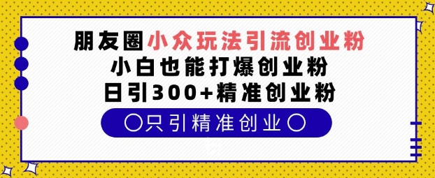 朋友圈小众玩法引流创业粉,小白也能打爆创业粉,日引300+精准创业粉【揭秘】-云网创