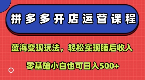 拼多多开店运营课程：蓝海变现玩法，轻松实现睡后收入，零基础小白也可日入5张-云网创
