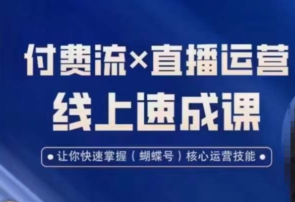 视频号付费流实操课程,付费流✖️直播运营速成课,让你快速掌握视频号核心运营技能-云网创
