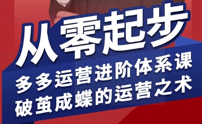 拼多多运营进阶系统课，从零起步，多多运营进阶体系课，破茧成蝶的运营之术-云网创