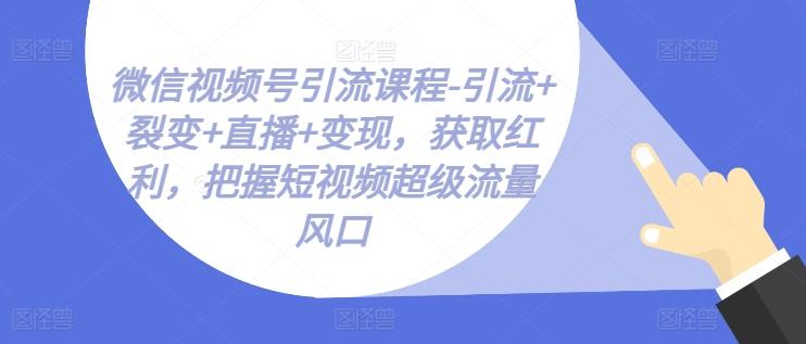 微信视频号引流课程-引流+裂变+直播+变现,获取红利,把握短视频超级流量风口-云网创